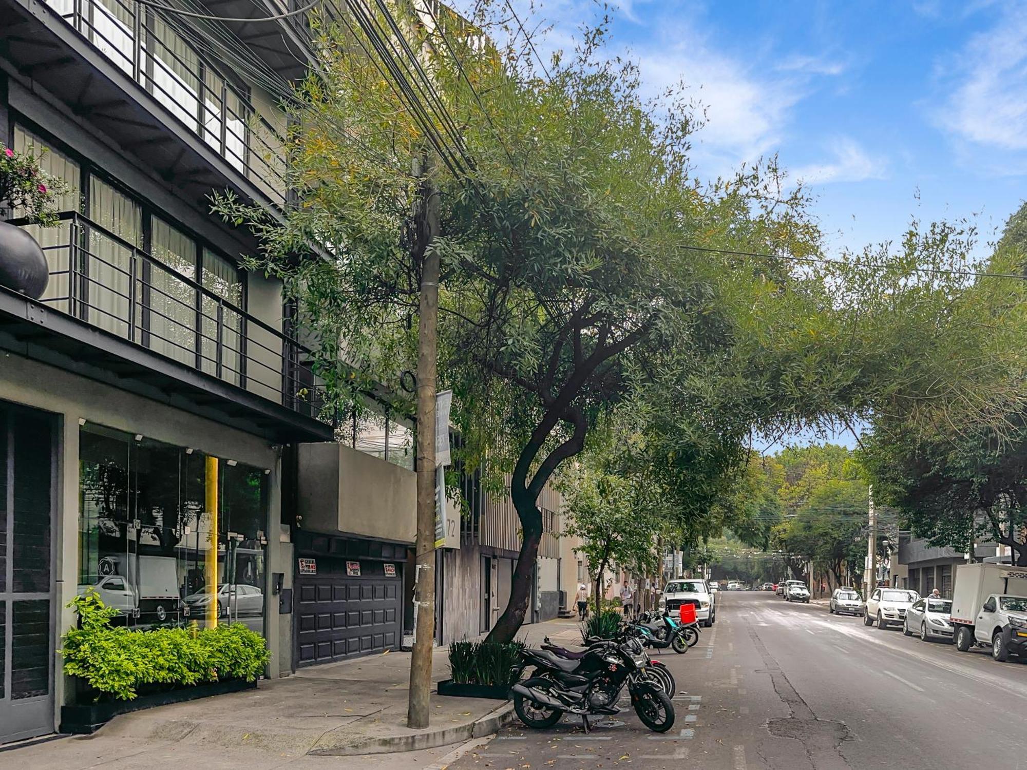Armonik Suites By Casanevo Mexico City Exterior photo